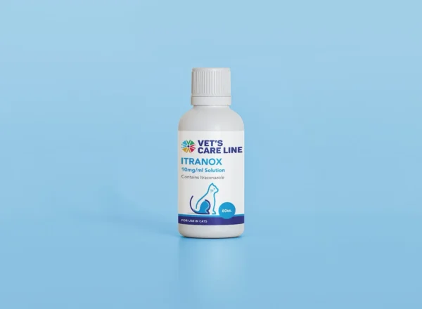 Itranox 10mg/ml Solution
