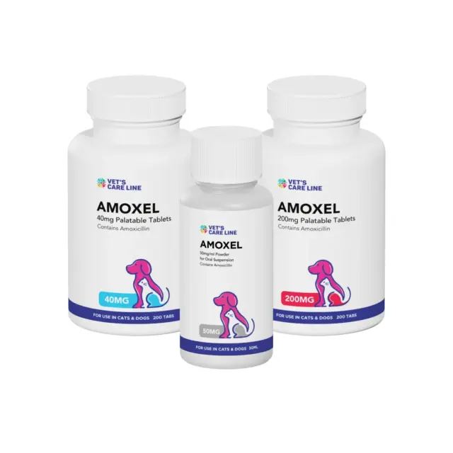 Amoxel