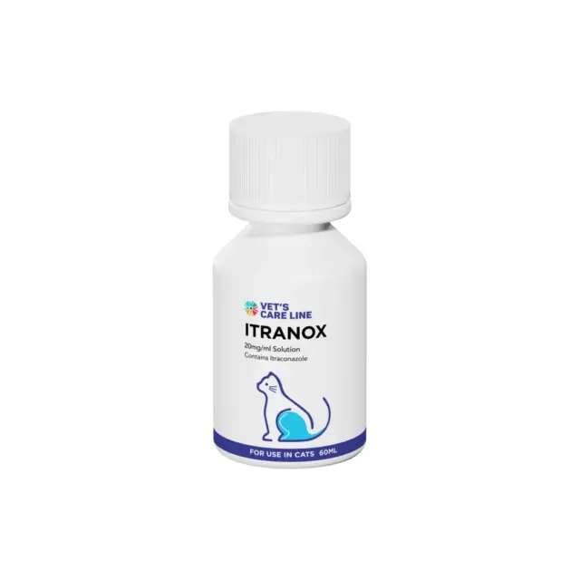 Itranox 10mg/ml Solution