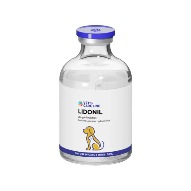 Lidonil 20mg/ml Injection