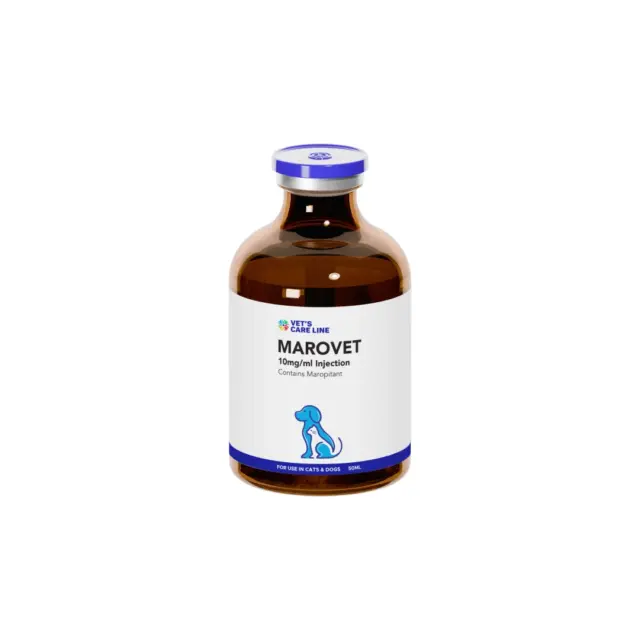 Marovet 10mg/ml Injection